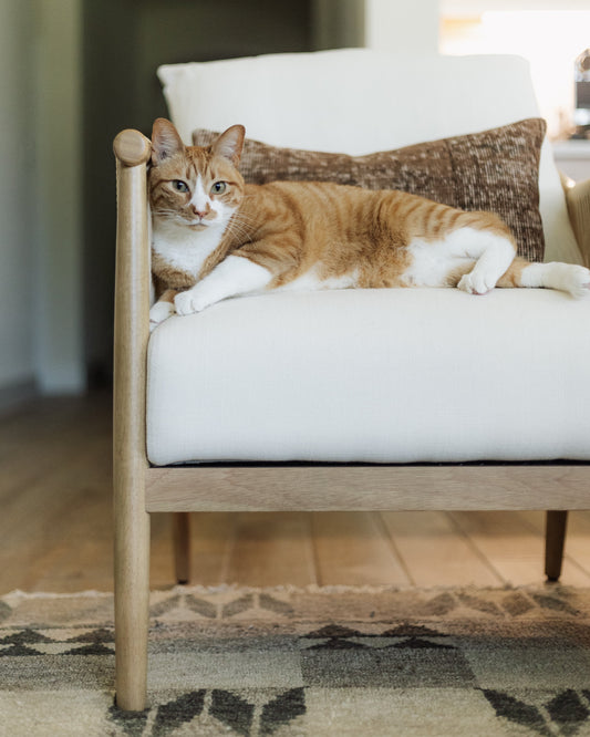 Minimalist white upholstered bench with wooden frame and woven cushion demonstrating space-efficient furniture for small living spaces featuring a resting cat.
