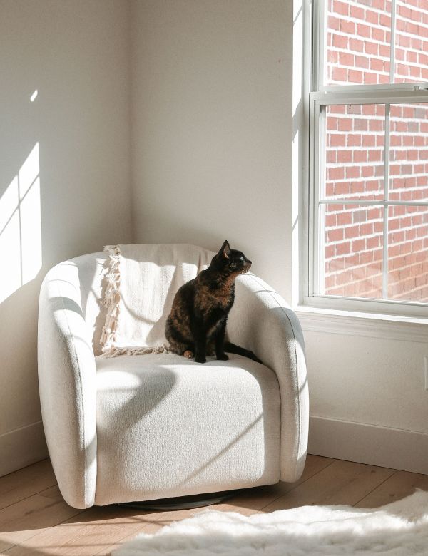 A tortoiseshell cat sitting on a white armchair by a window
