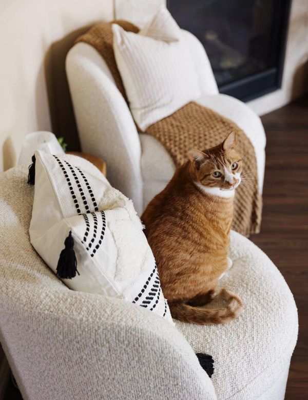 An orange cat sits on a cozy armchair with a white and black patterned pillow