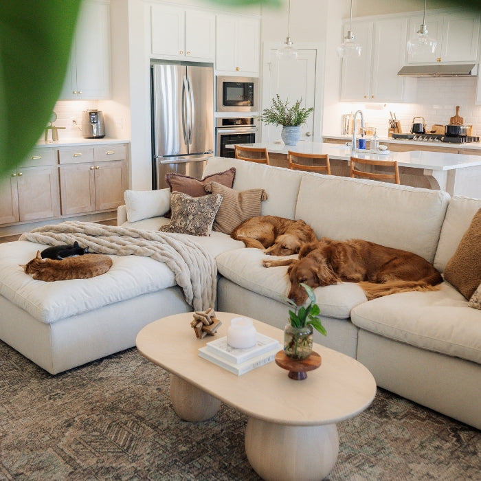 A cozy living room with a white sectional sofa